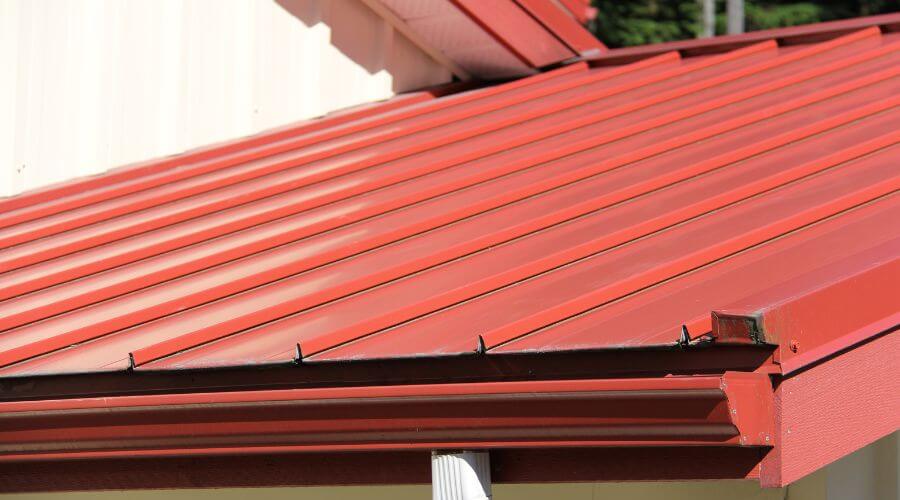 Professional gutter cleaning services in Dewey, IL